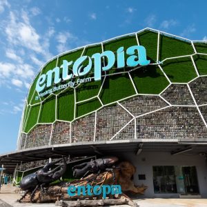 Entopia Penang Entrance Ticket